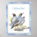 Recherche de aquarelle hibou posters Oiseau
