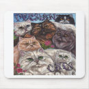 Recherche de persan tapis souris Chat