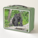 Zoek naar dieren lunchboxen Foto