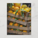 Zoek naar tuscany briefkaarten Buiten