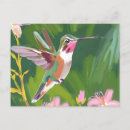 Recherche de peintures colibri cartes postales Vintage