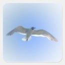 Recherche de capsule autocollants Vol