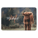 Recherche de vaches magnets Pour tous