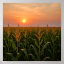 Recherche de paysages ruraux posters Coucher de soleil