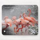 Recherche de smithsonien Zoo national