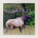 Zoek naar hunting puzzels Wild