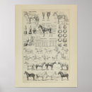Zoek naar squelette posters Vintage