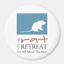 Recherche de ratties magnets Rat d'animal familier