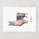 Zoek naar lama briefkaarten Schattig