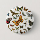 Recherche de chenilles badges Illustration