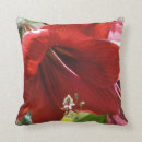 Recherche de amaryllis coussins Rouge