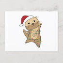 Recherche de loutres cartes postales Enfants