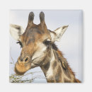 Recherche de parc national de kruger magnets Animaux