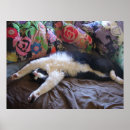 Recherche de chats colorés posters Pour enfants