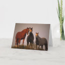 Zoek naar arabieren briefkaarten Groep