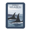 Recherche de orques magnets L'alaska