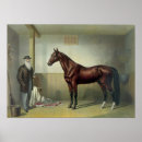 Recherche de race cheval posters animal