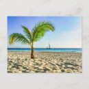 Recherche de palmiers tropicaux cartes postales Paysage