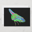 Recherche de sauterelle vœux cartes Insecte