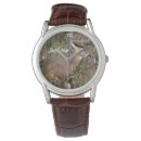 Recherche de cerfs communs montres Andouillers