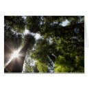 Recherche de humboldt Parc d'état