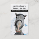 Recherche de cheval drôle cartes visite Équin