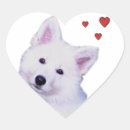 Recherche de berger blanc autocollants Animal