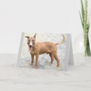 Recherche de bull terrier anglais vœux cartes Dog