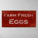 Recherche de oeuf posters Agriculture