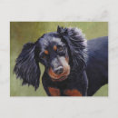Recherche de gordon cartes postales Setter