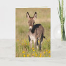 Recherche de prairie vœux cartes Faune