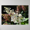 Recherche de taille posters Floral