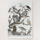 Recherche de oiseaux vintages puzzles Coloré