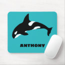 Recherche de baleine tapis souris Biologie marine