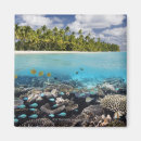 Recherche de poissons tropicaux magnets Animaux
