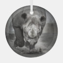 Recherche de rhinocéros ornements Nature