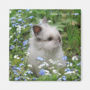 Recherche de rabbit magnets Fleurs