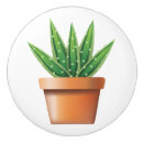 Recherche de sud ouest boutons et poignées de porte Cactus