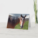Zoek naar poneys kaarten Paarden