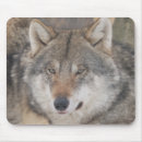 Zoek naar wolven muismatten Wild