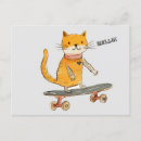 Recherche de drôle chat cartes postales Cool