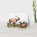 Recherche de peinture animale vœux cartes Faune