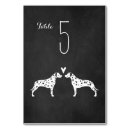 Recherche de dalmatiens Dalmate