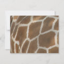 Recherche de girafe autres Animaux