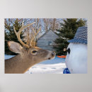 Zoek naar vegetarisch posters Wortel