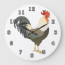 Recherche de coq horloges Nature