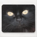 Recherche de grand yeux tapis souris Photographie
