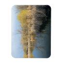 Recherche de roseaux magnets Nature