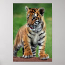 Recherche de african animals posters Wildlife