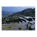 Recherche de yunnan cartes postales Pente